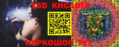 ешки Краснознаменск