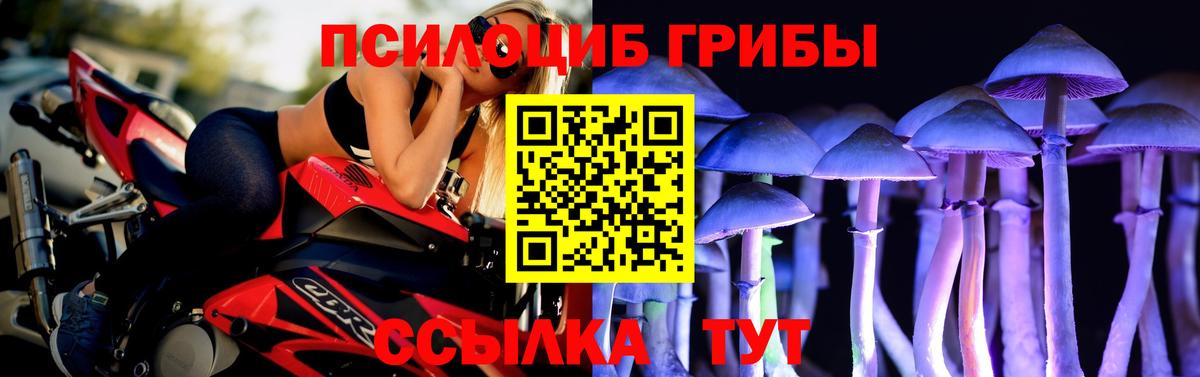 Касимов  Псилоцибиновые грибы мухоморы  Вход с VPN 