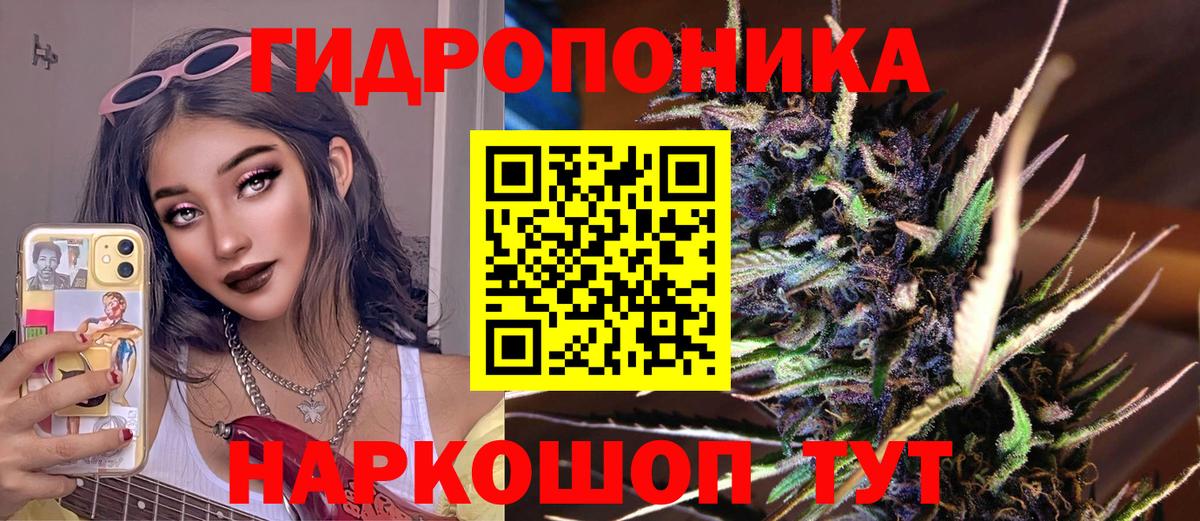 Марихуана планчик Касимов